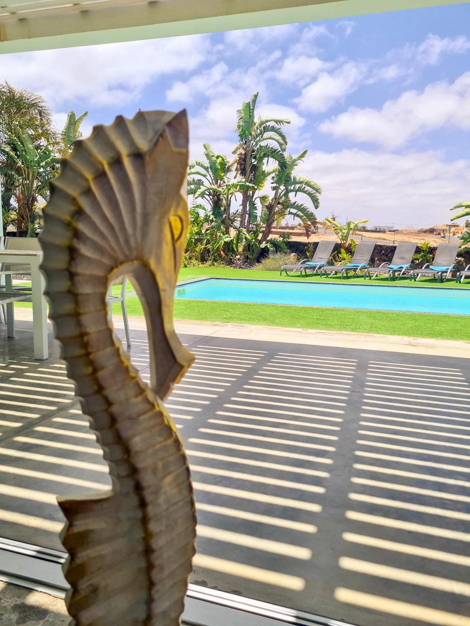 Villa Turquesa 1 Fuerteventura Lajares Esterno foto