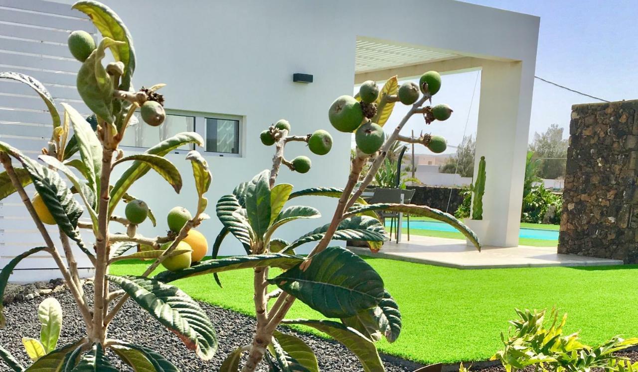 Villa Turquesa 1 Fuerteventura Lajares Esterno foto
